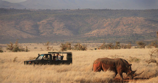 Safari vehicle with white rhino at Lewa Conservancy, Kenya
