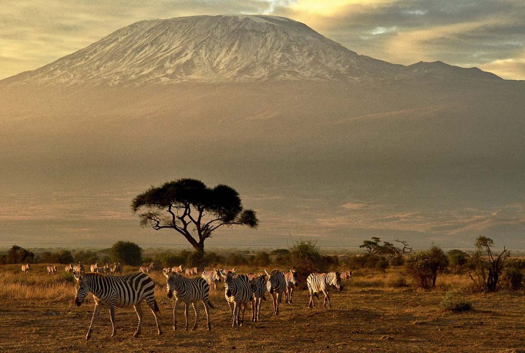 Ngorongoro Crater floor with wildlife, Tanzania