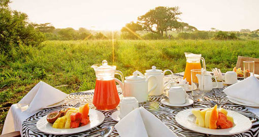 Bush breakfast at sunrise in the Masai Mara, Kenya