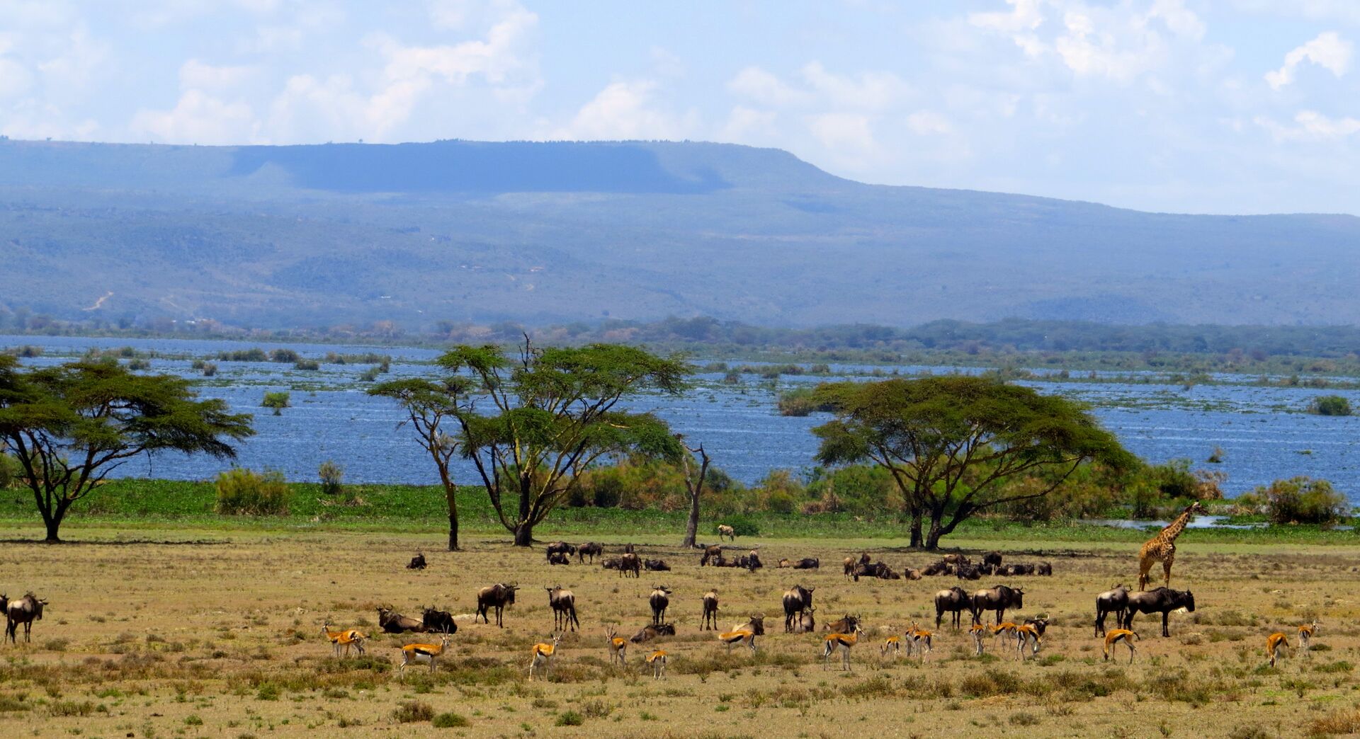 Okavango Delta, Botswana