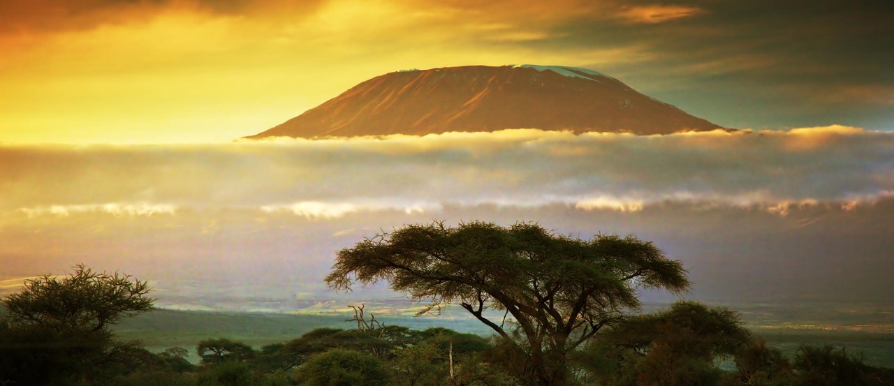Serengeti with Kilimanjaro backdrop, Tanzania